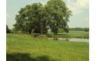 Property photo 18 - 160 Acres Offered in 6 Tracts
